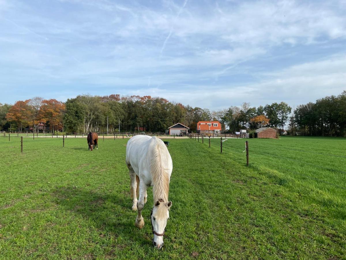 Bed & Breakfast Hoeve Happiness - Ontbijt Inbegrepen - Wellness Aanwezig Вортхёйзен Экстерьер фото