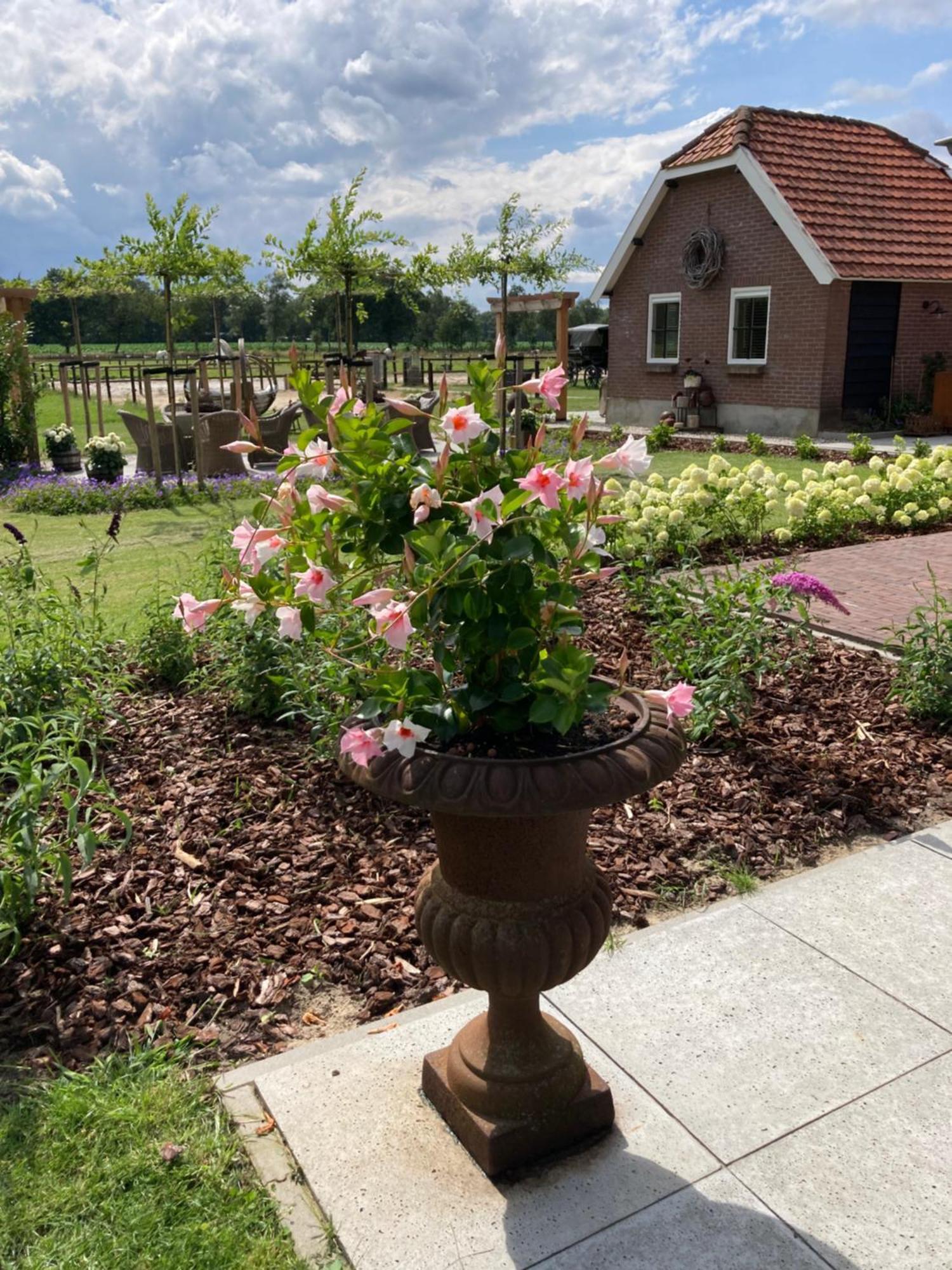 Bed & Breakfast Hoeve Happiness - Ontbijt Inbegrepen - Wellness Aanwezig Вортхёйзен Экстерьер фото