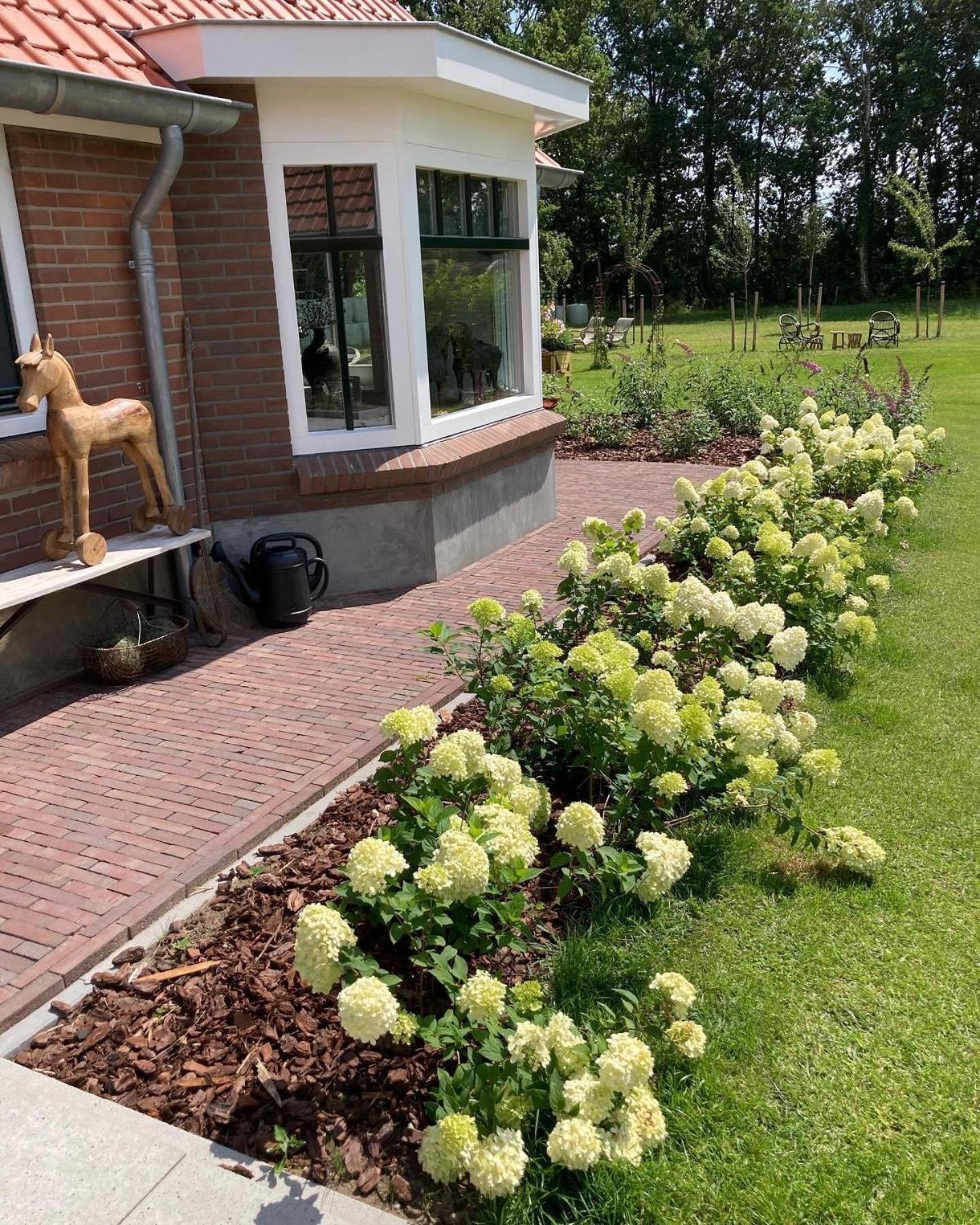 Bed & Breakfast Hoeve Happiness - Ontbijt Inbegrepen - Wellness Aanwezig Вортхёйзен Экстерьер фото