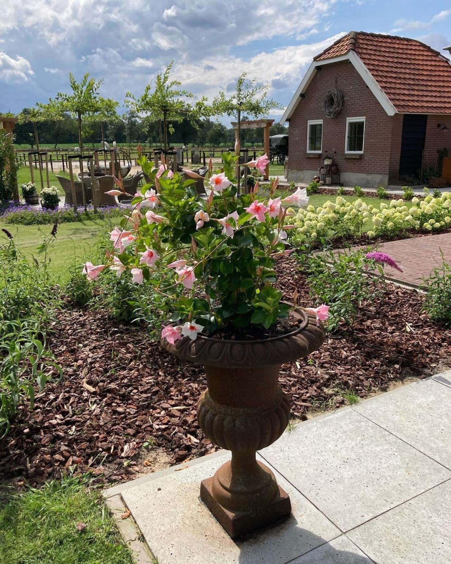 Bed & Breakfast Hoeve Happiness - Ontbijt Inbegrepen - Wellness Aanwezig Вортхёйзен Экстерьер фото