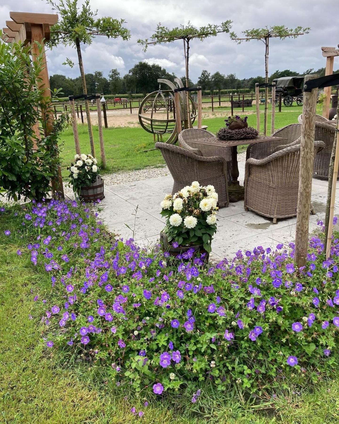 Bed & Breakfast Hoeve Happiness - Ontbijt Inbegrepen - Wellness Aanwezig Вортхёйзен Экстерьер фото