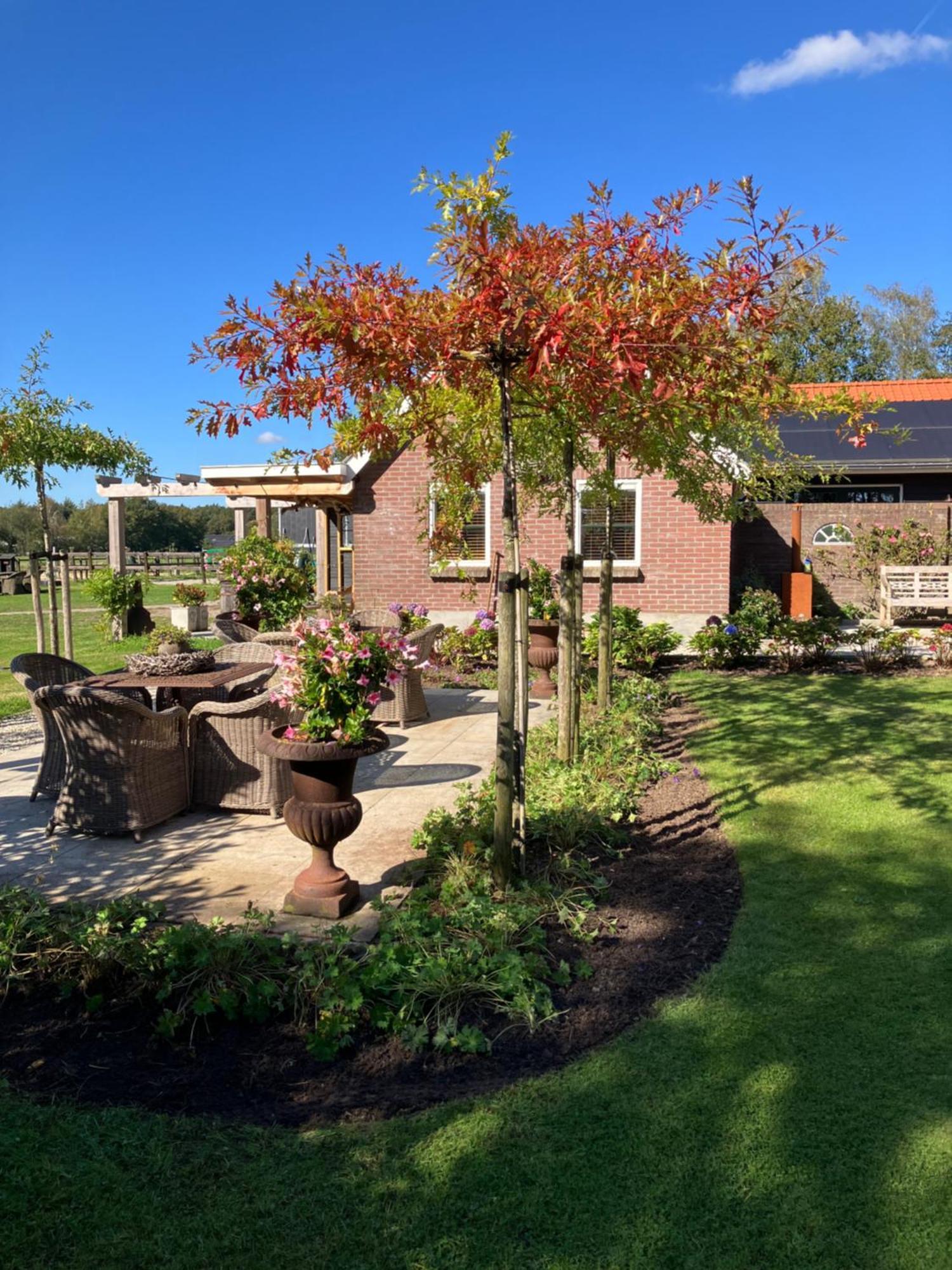 Bed & Breakfast Hoeve Happiness - Ontbijt Inbegrepen - Wellness Aanwezig Вортхёйзен Экстерьер фото