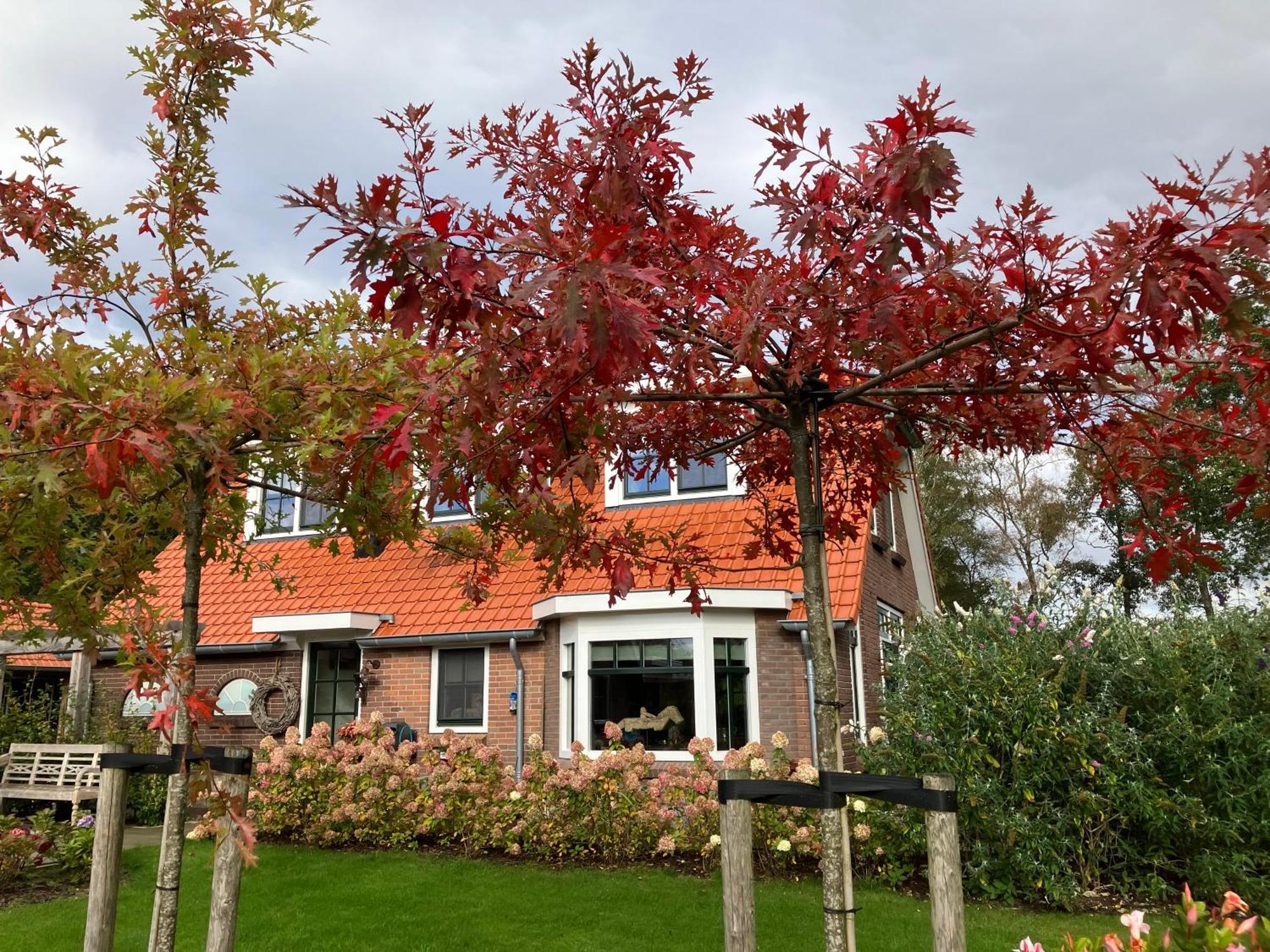 Bed & Breakfast Hoeve Happiness - Ontbijt Inbegrepen - Wellness Aanwezig Вортхёйзен Экстерьер фото